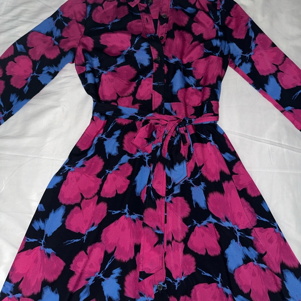 Banana Republic Pink and Blue Floral Long Sleeve Dress